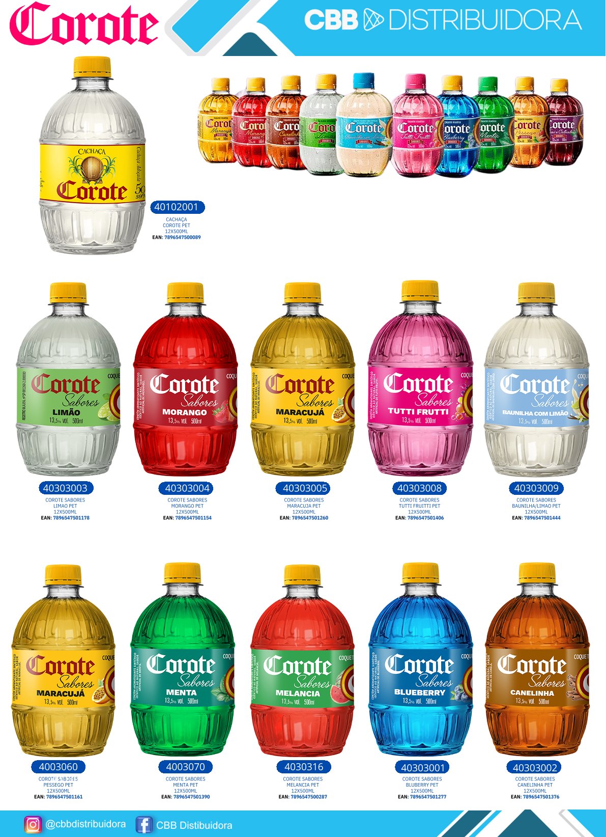 Página 1 da Revista 13